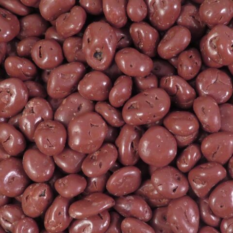 Choco Rozijn Melk