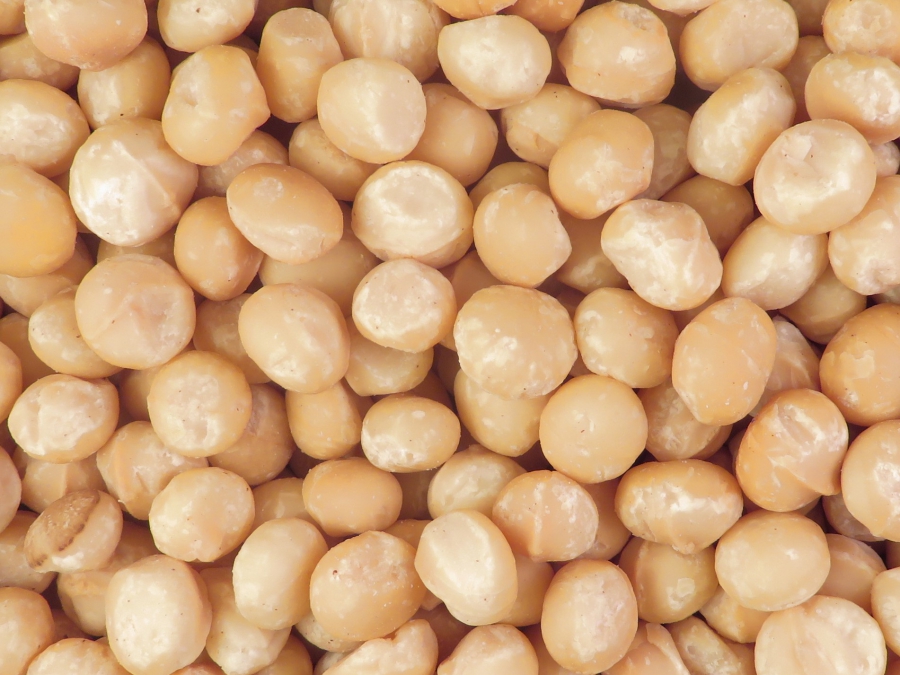 Macadamia’s (geroosterd)