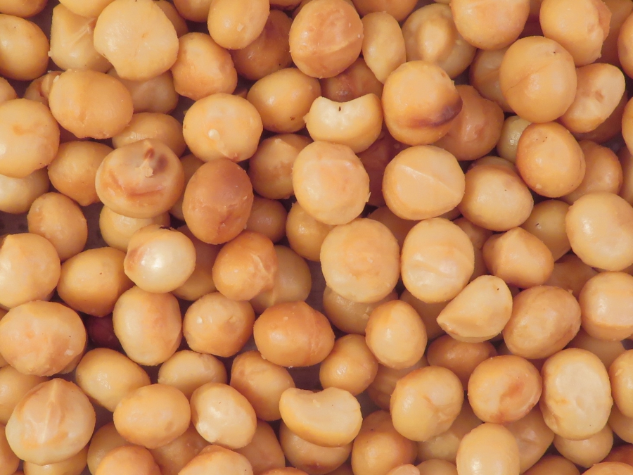Macadamia’s (gebrand)