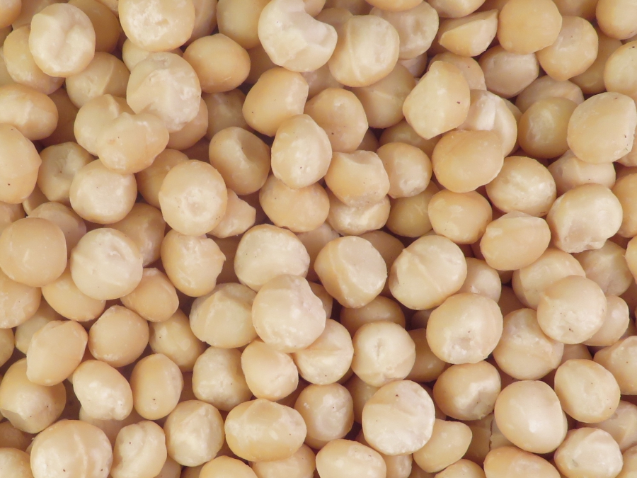 Macadamia’s (rauw)